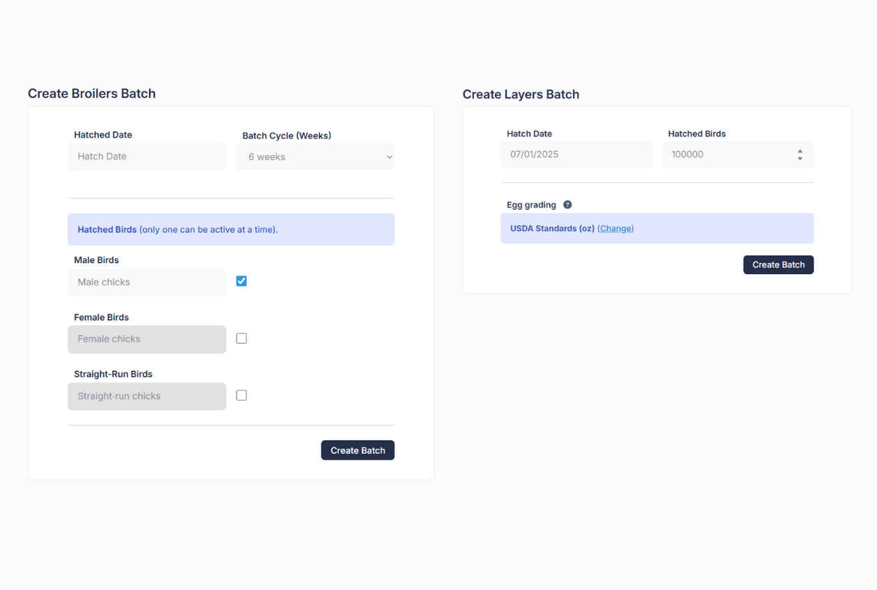Easy batch creation and management screenshot