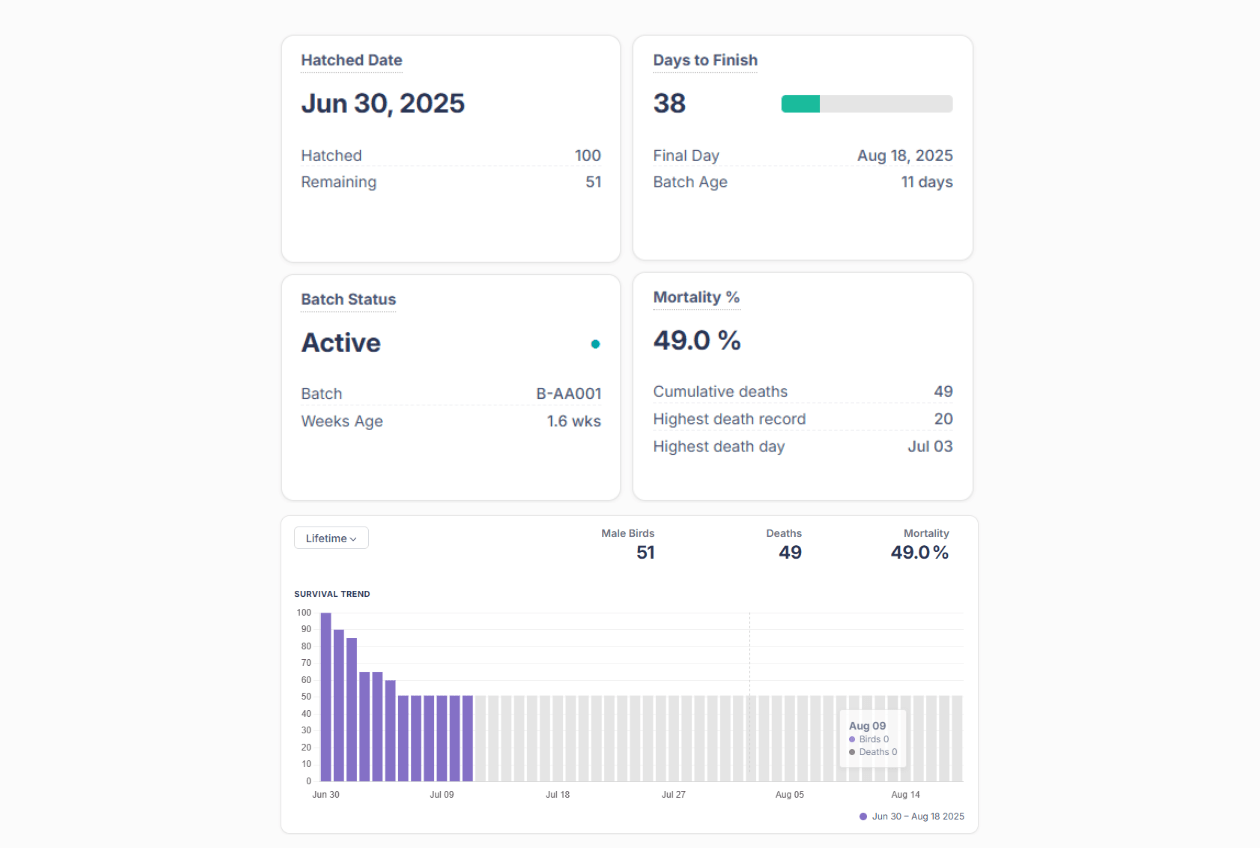 ChickenBudget batch dashboard screenshot