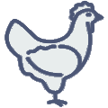 Broilers Icon